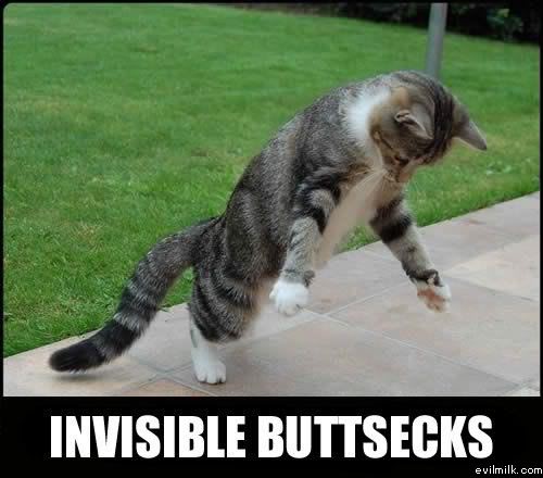 Name:  Invisible_buttsecks.jpg
Views: 23265
Size:  35.0 KB