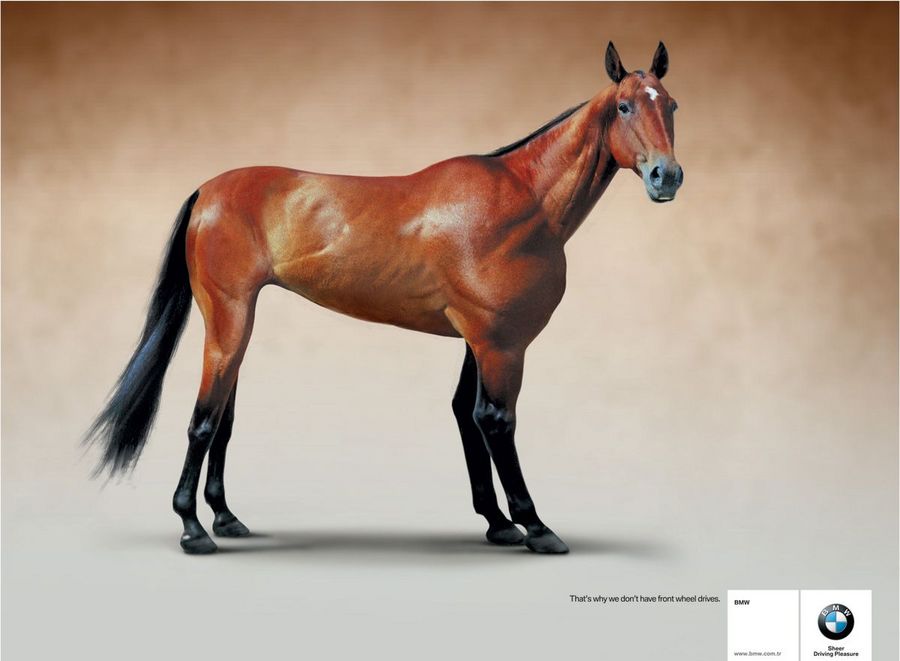 Name:  horse.jpg
Views: 5068
Size:  47.7 KB