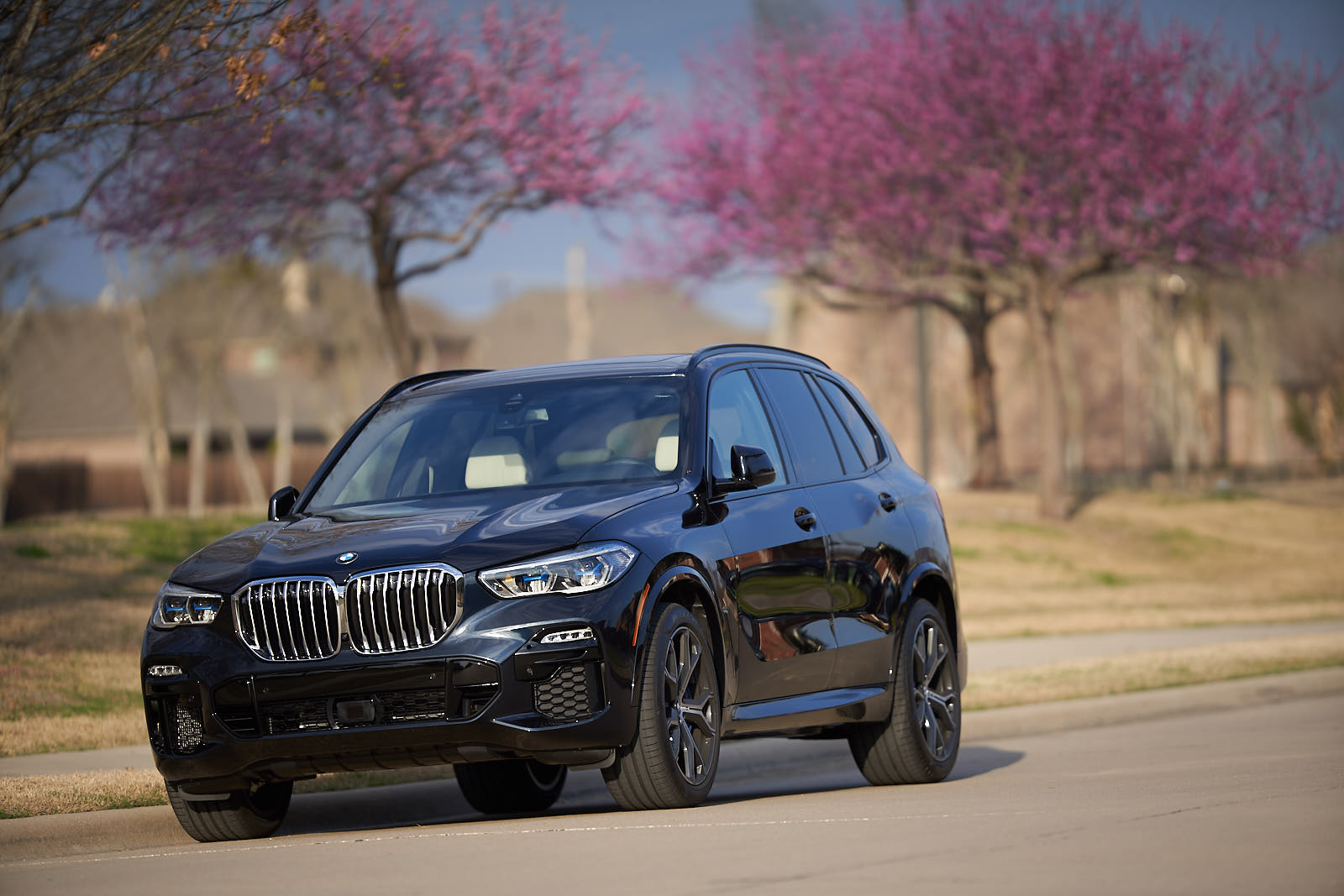 Name:  2019_BMW_X5_xDrive_ 4.jpg
Views: 4548
Size:  190.6 KB