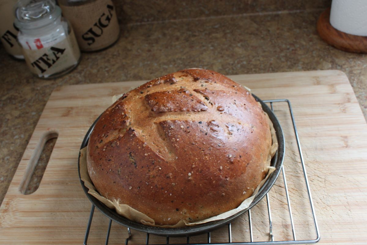 Name:  Olive bread 3.JPG
Views: 3175
Size:  130.0 KB