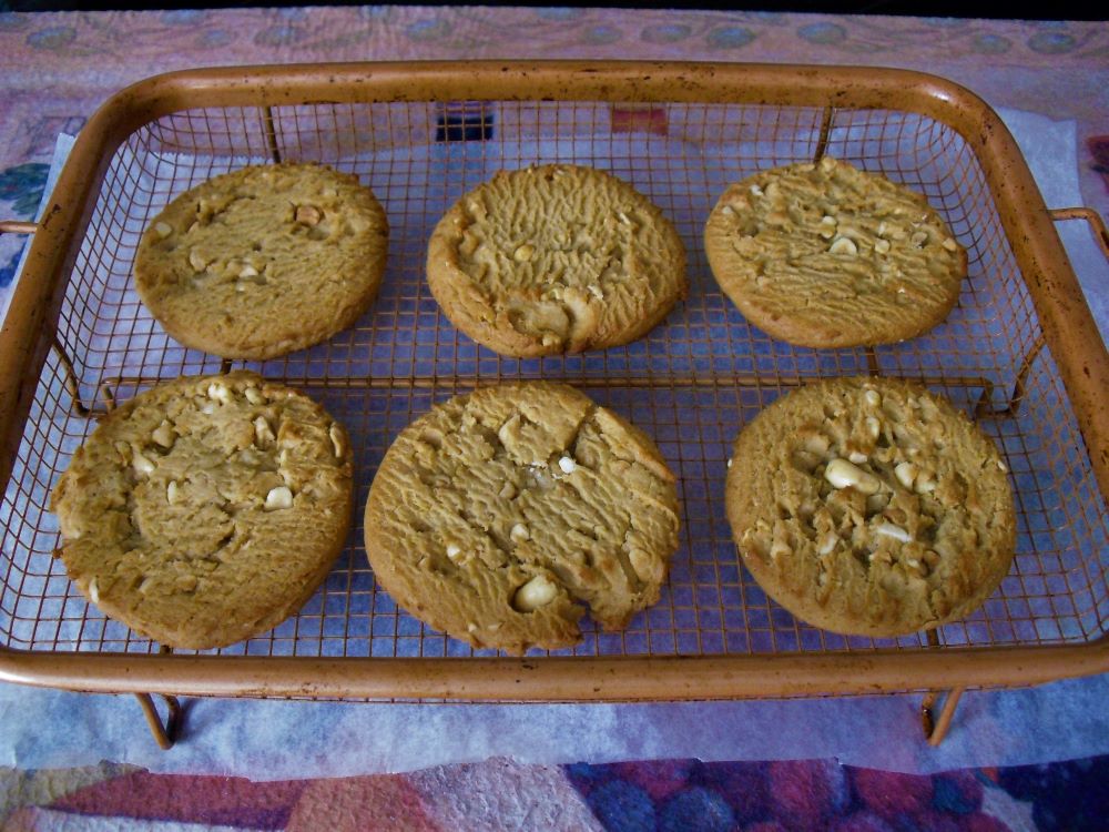 Name:  PB cookies.JPG
Views: 2172
Size:  151.7 KB