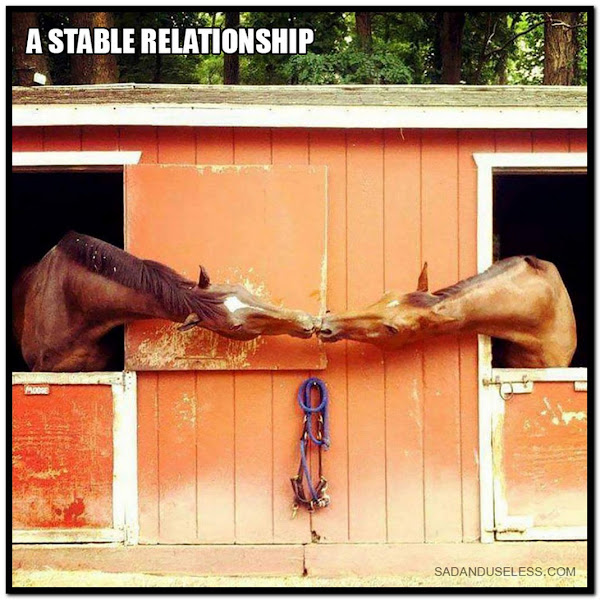 Name:  Stable..jpg
Views: 919
Size:  117.4 KB