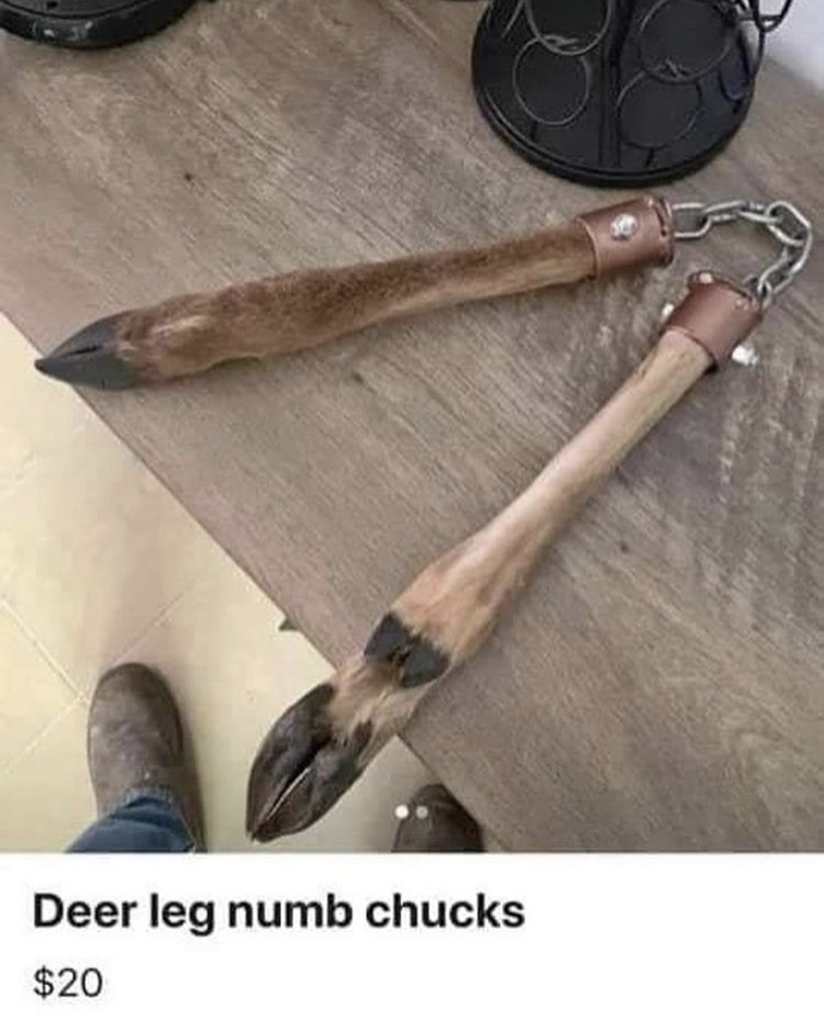 Name:  DEER.jpeg
Views: 1900
Size:  404.7 KB