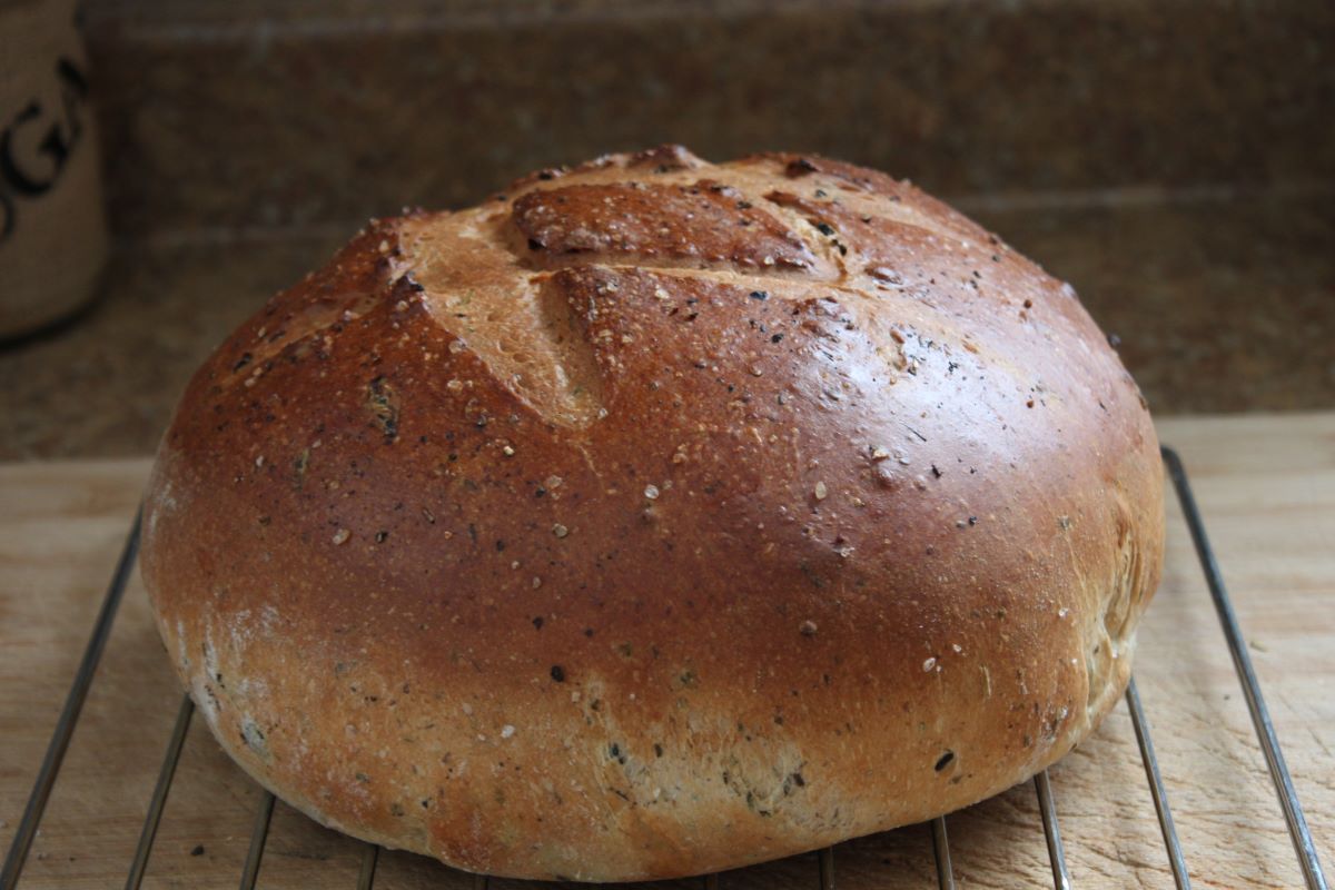 Name:  Olive bread 2.JPG
Views: 3138
Size:  118.8 KB